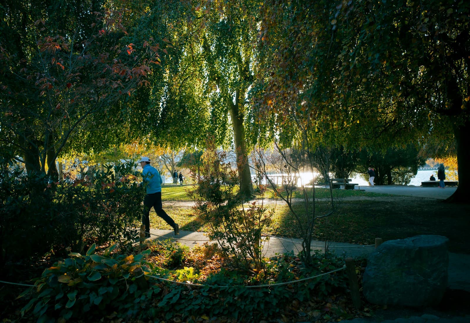 A person walking along a sunlit, tree-lined park path